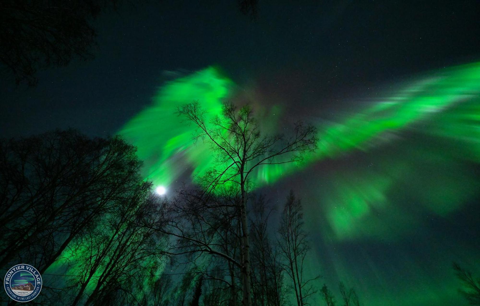 The Wandering Wolf - Frontier Village Holiday home North Pole