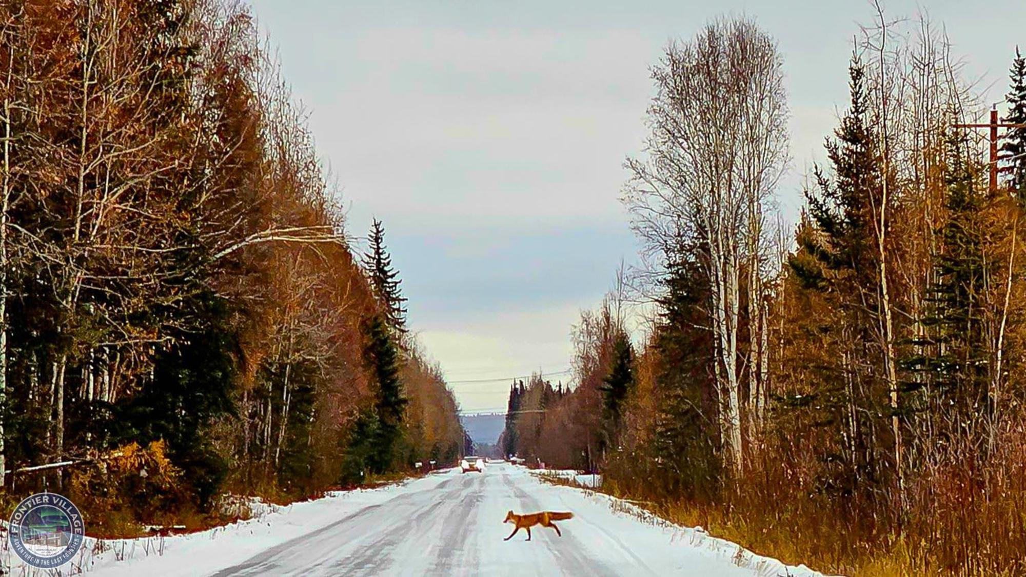 Holiday home The Wandering Wolf - Frontier Village North Pole
