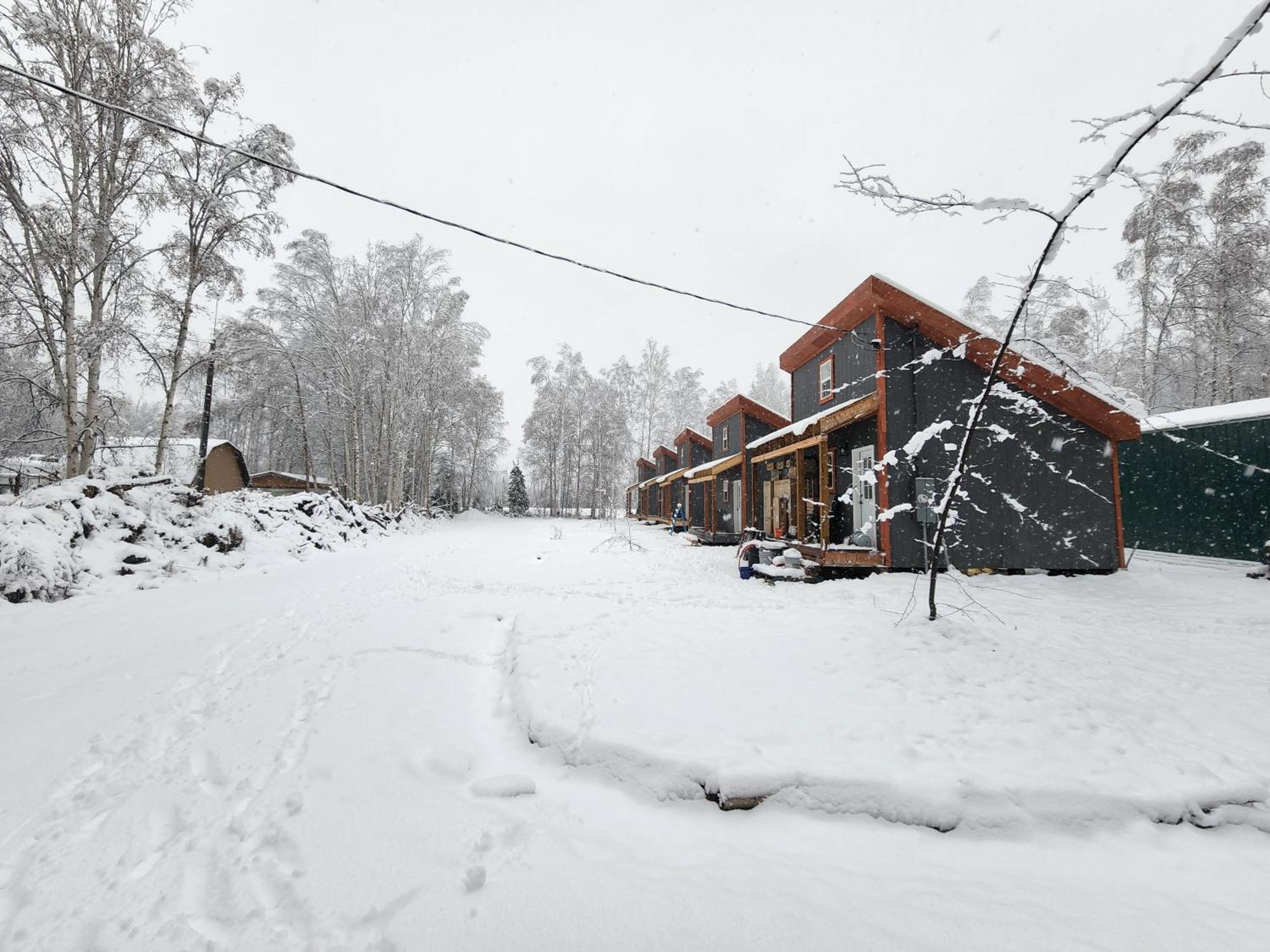 The Wandering Wolf - Frontier Village *