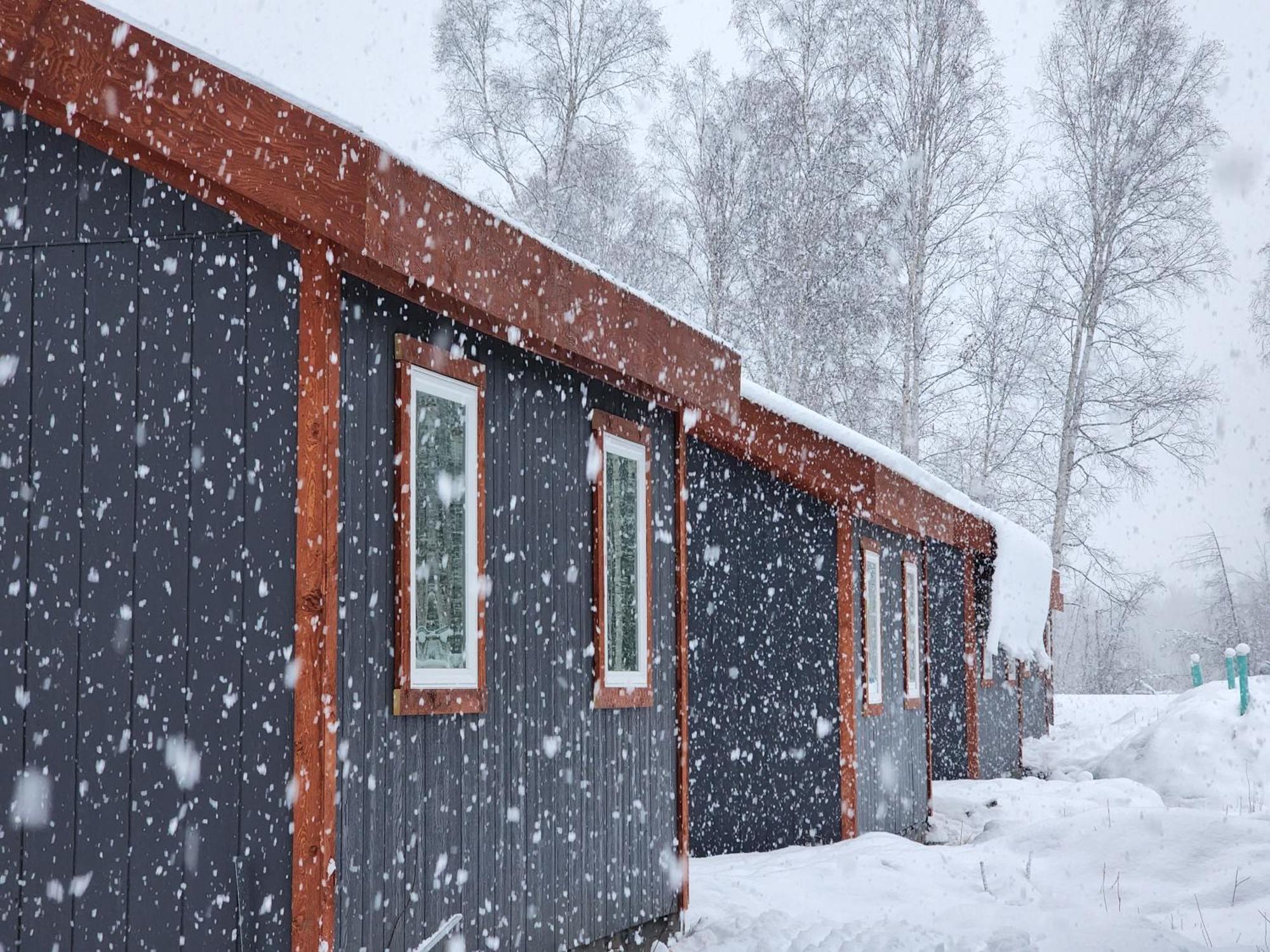 The Wandering Wolf - Frontier Village * North Pole